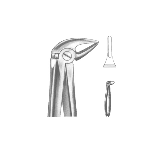 Extracting Forceps English pattern 