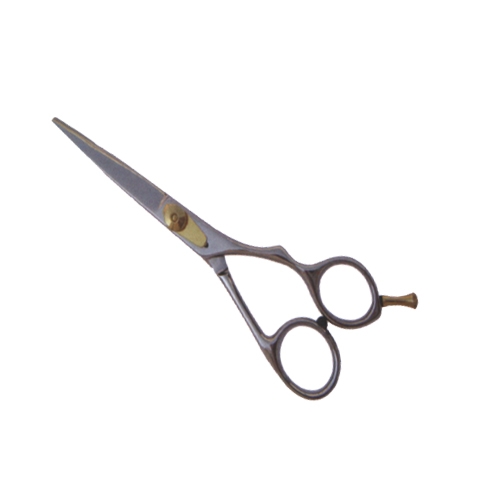 Profasional Hair Cutting Scissors
